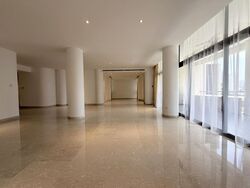 The Colonnade (D10), Condominium #519854051